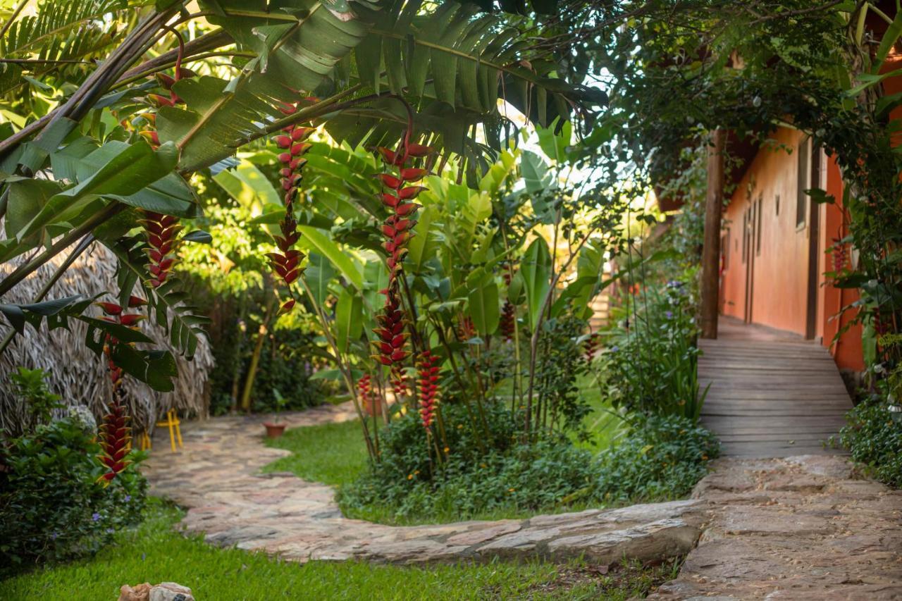 Buddy'S Hostel & Pousada Alto Paraiso Alto Paraíso de Goiás Bagian luar foto